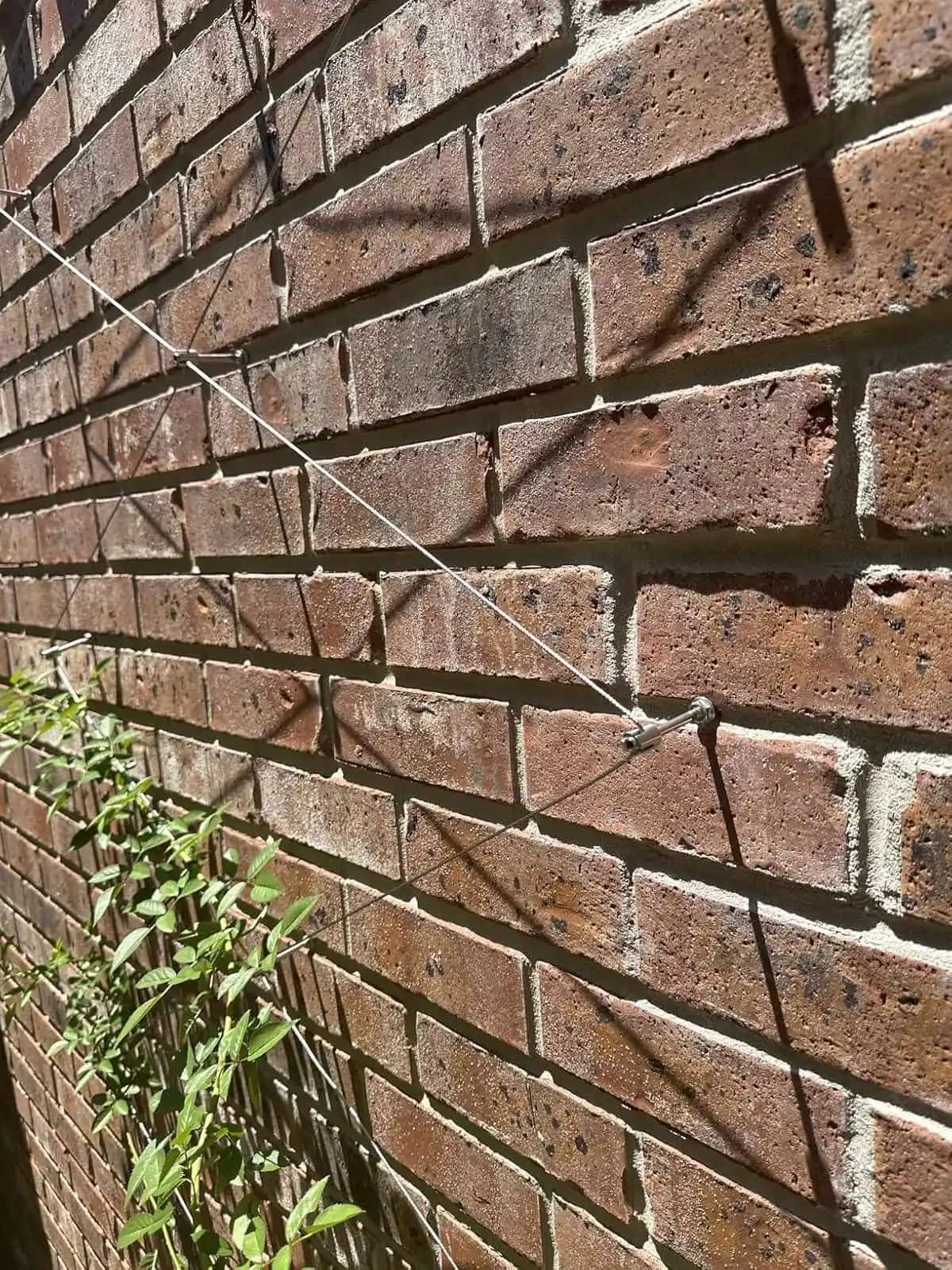 Acemaker trellis installation photo 1