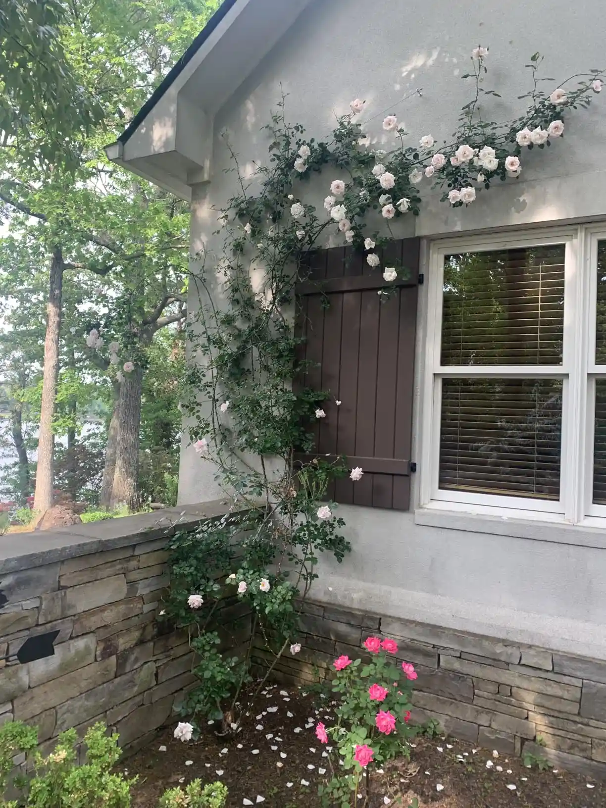 Acemaker trellis installation photo 2