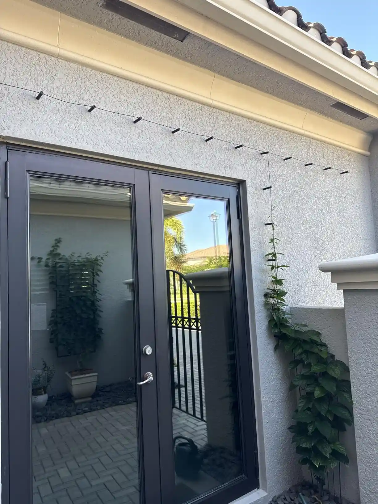 Acemaker trellis installation photo 9