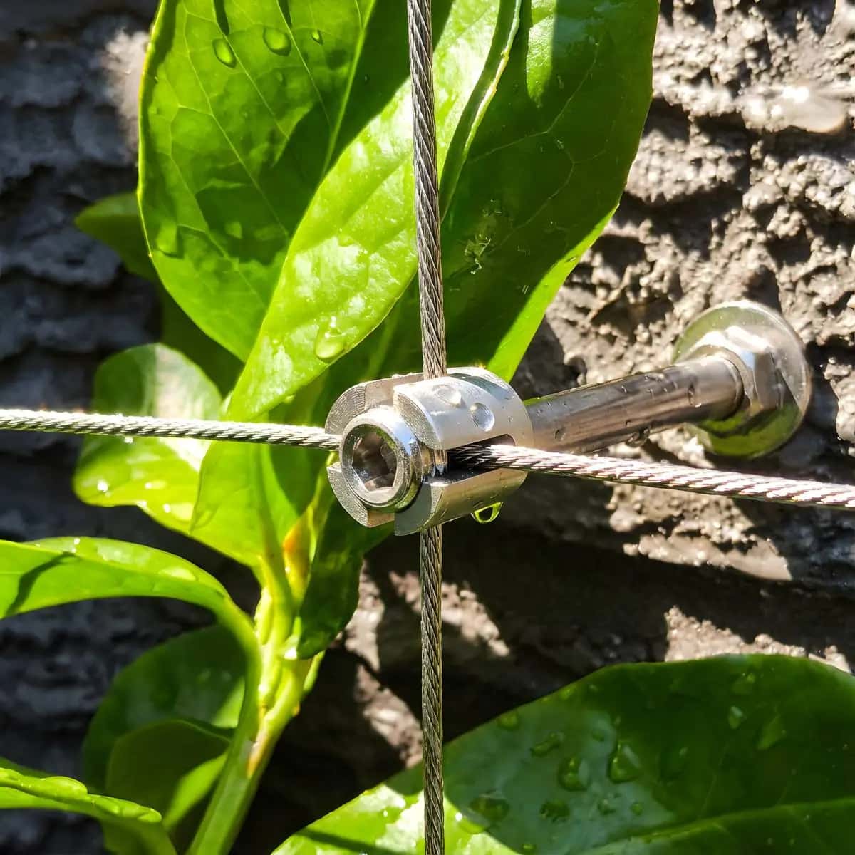 Acemaker Garden Wire Trellis System Best Seller